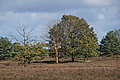 DSC02218 - Bernhard Saalfeld