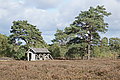 DSC02227 - Bernhard Saalfeld