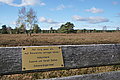 DSC02228 - Bernhard Saalfeld