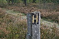 DSC02238 - Bernhard Saalfeld