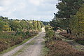 DSC02239 - Bernhard Saalfeld