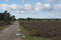 DSC02241 - Bernhard Saalfeld