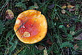 DSC02250 - Bernhard Saalfeld