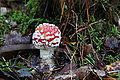 DSC02257 - Bernhard Saalfeld