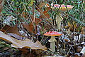 DSC02261 - Bernhard Saalfeld