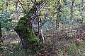 DSC02262 - Bernhard Saalfeld