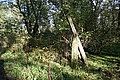 DSC02263 - Bernhard Saalfeld