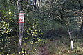 DSC02267 - Bernhard Saalfeld