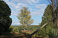 DSC02269 - Bernhard Saalfeld