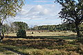 DSC02270 - Bernhard Saalfeld