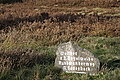DSC02271 - Bernhard Saalfeld