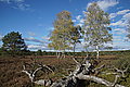 DSC02272 - Bernhard Saalfeld