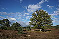 DSC02273 - Bernhard Saalfeld