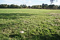 DSC02274 - Bernhard Saalfeld