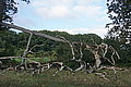 DSC02283 - Bernhard Saalfeld