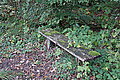 DSC02284 - Bernhard Saalfeld