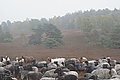 DSC02313 - Bernhard Saalfeld