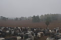 DSC02314 - Bernhard Saalfeld