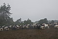 DSC02320 - Bernhard Saalfeld