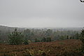 DSC02322 - Bernhard Saalfeld