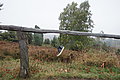 DSC02324 - Bernhard Saalfeld