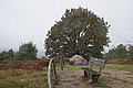 DSC02325 - Bernhard Saalfeld