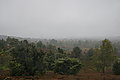 DSC02326 - Bernhard Saalfeld