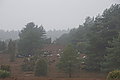 DSC02328 - Bernhard Saalfeld