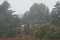 DSC02329 - Bernhard Saalfeld