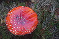 DSC02330 - Bernhard Saalfeld