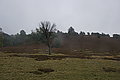 DSC02337 - Bernhard Saalfeld