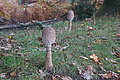 DSC02339 - Bernhard Saalfeld