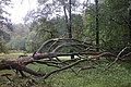 DSC02341 - Bernhard Saalfeld