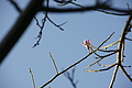 DSC02051 - Bernhard Saalfeld