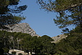 DSC02085 - Bernhard Saalfeld