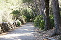 DSC02089 - Bernhard Saalfeld