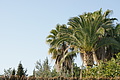 DSC02269 - Bernhard Saalfeld