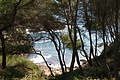 DSC02290 - Bernhard Saalfeld