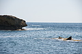 DSC02301 - Bernhard Saalfeld