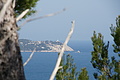 DSC02307 - Bernhard Saalfeld
