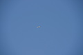 DSC02318 - Bernhard Saalfeld