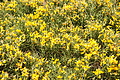 DSC02377 - Bernhard Saalfeld
