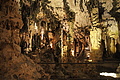 DSC02406 - Bernhard Saalfeld
