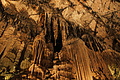 DSC02418 - Bernhard Saalfeld
