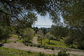 DSC02539 - Bernhard Saalfeld