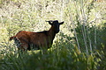 DSC02548 - Bernhard Saalfeld