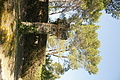 DSC02555 - Bernhard Saalfeld