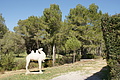 DSC02577 - Bernhard Saalfeld