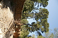 DSC02620 - Bernhard Saalfeld