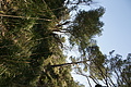 DSC02627 - Bernhard Saalfeld